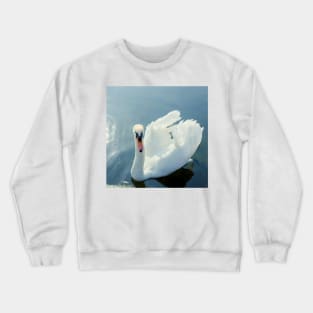 Swan Lake #1 Crewneck Sweatshirt